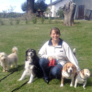 the dogs at pension pour chiens saint pardoux